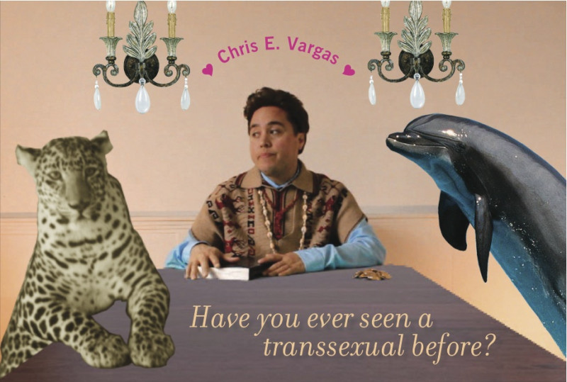 Have You Ever Seen A Transsexual Before? Film + Videos by Chris E. Vargas