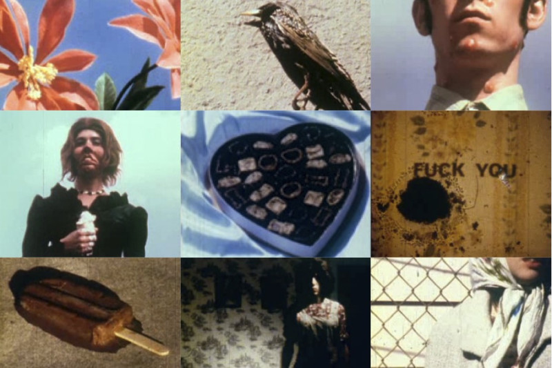 Tom Rhoads | Three Films